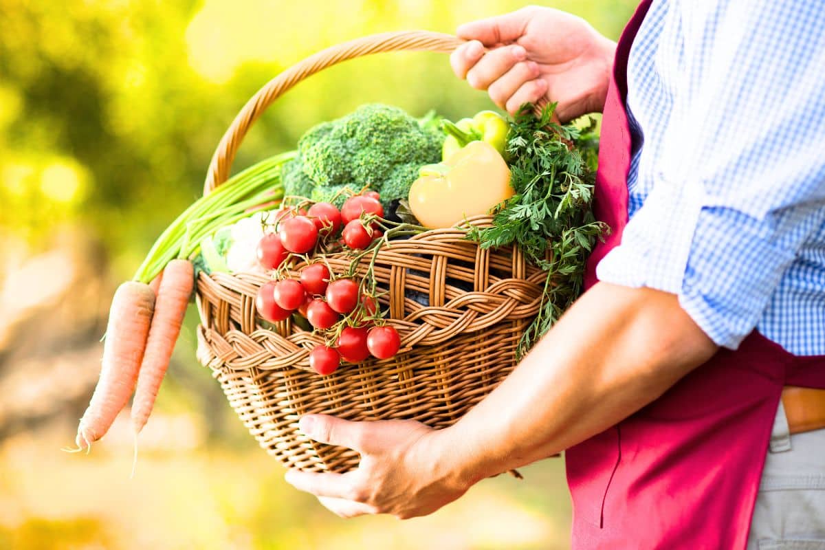 100 % des besoins en nutriments